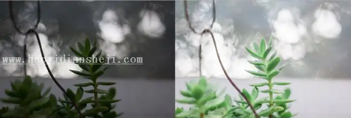 静物调色，教你调小清新的小物件_www.haoyidiansheji.com