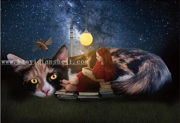 照片合成，PS合成星空下女孩和猫咪依偎阅读的梦幻场景_www.haoyidiansheji.com
