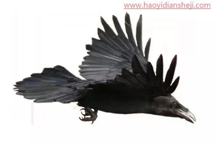 创意合成，在ps里打造人物局部幻化成老鹰的创意图片_www.haoyidiansheji.com