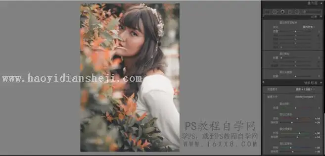 LR调色教程，用LR打造风靡全网的ins欧美范人像_www.haoyidiansheji.com