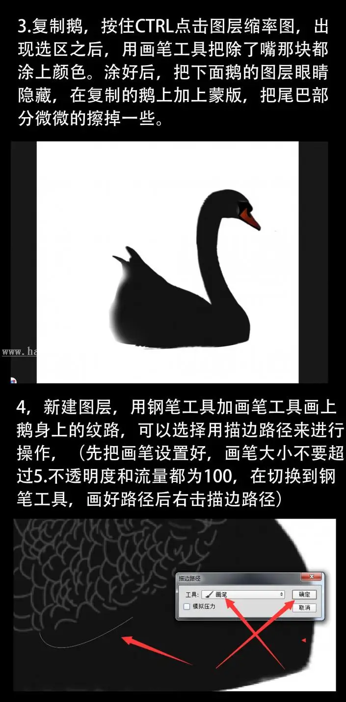 动物海报，设计黑天鹅主题海报_www.haoyidiansheji.com