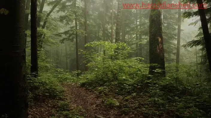 创意合成，在PS中合成一个在丛林书本上睡觉的男孩_www.haoyidiansheji.com