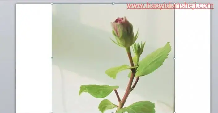 拉伸不变形，如何不破坏画面美感自然拉伸背景图_www.haoyidiansheji.com