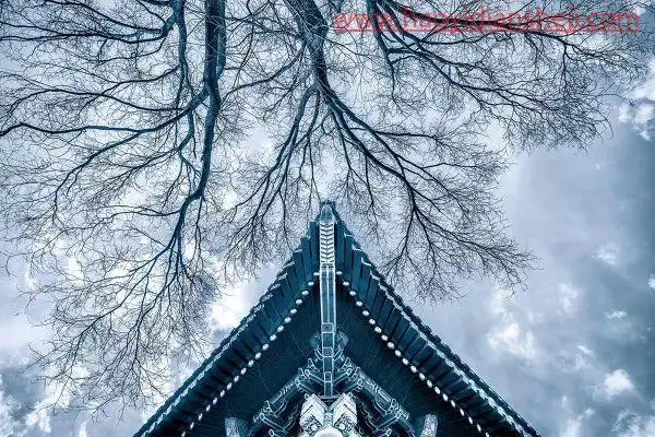 LR风景调色，制作清冷纯净的电影级风景大片_www.haoyidiansheji.com