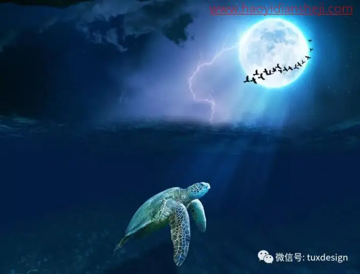 梦幻合成，用PS和深海海龟的夜游旅行_www.haoyidiansheji.com
