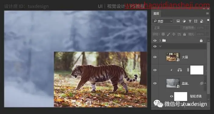 创意合成，通过PS合成一幅猫虎大战一触即发的场面_www.haoyidiansheji.com