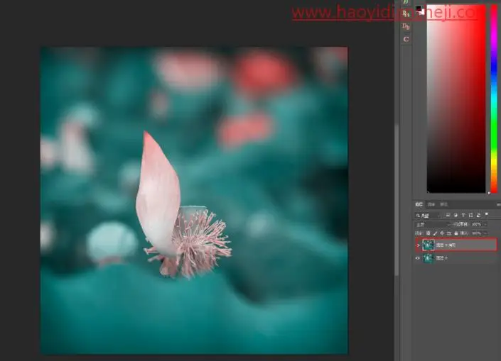 线条边框，给植物制作透明边框_www.haoyidiansheji.com