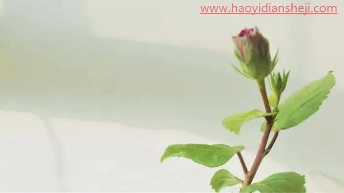 拉伸不变形，如何不破坏画面美感自然拉伸背景图_www.haoyidiansheji.com