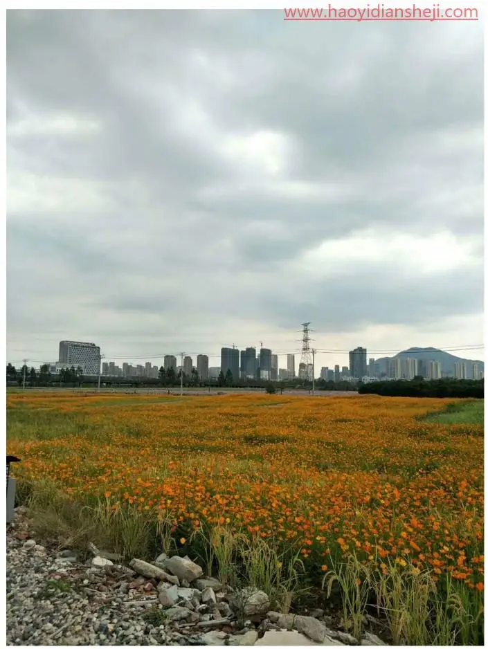 漫画效果，通过PS一起走进宫崎骏的漫画世界_www.haoyidiansheji.com