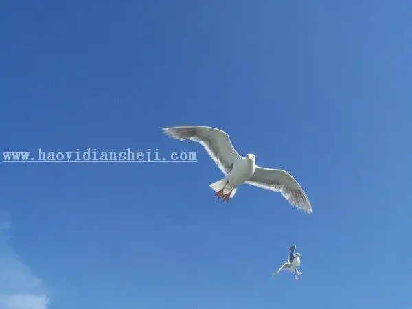 场景合成，用PS合成匹诺曹遨游云海的照片_www.haoyidiansheji.com