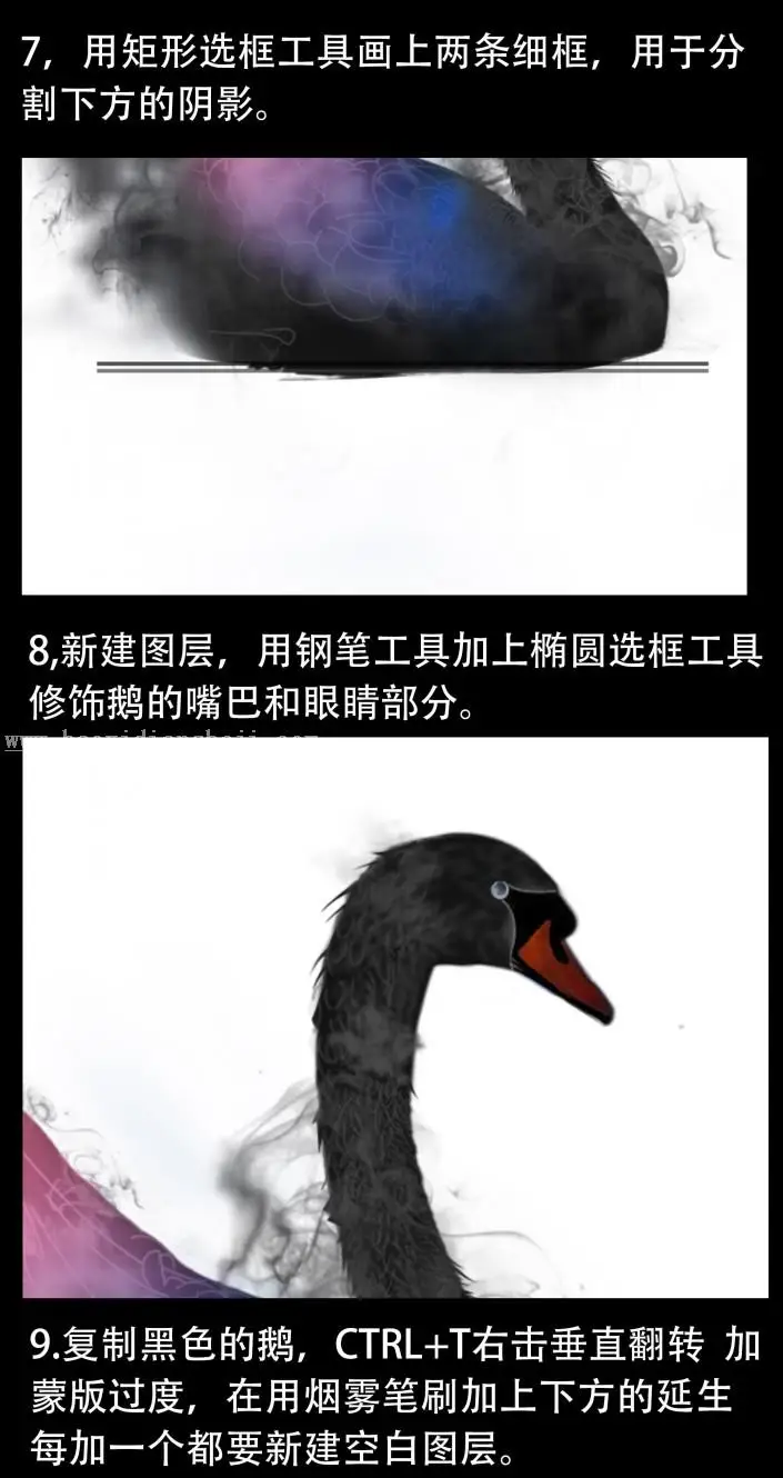 动物海报，设计黑天鹅主题海报_www.haoyidiansheji.com