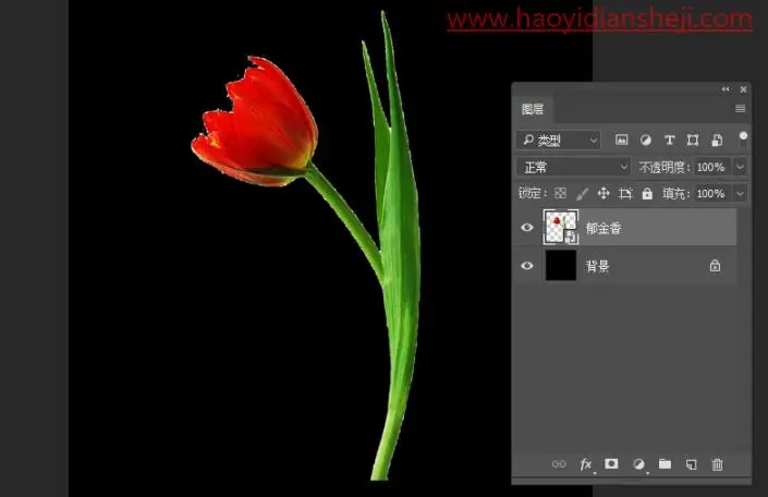 液态效果，在PS中制作一枝质感的液态花朵_www.haoyidiansheji.com