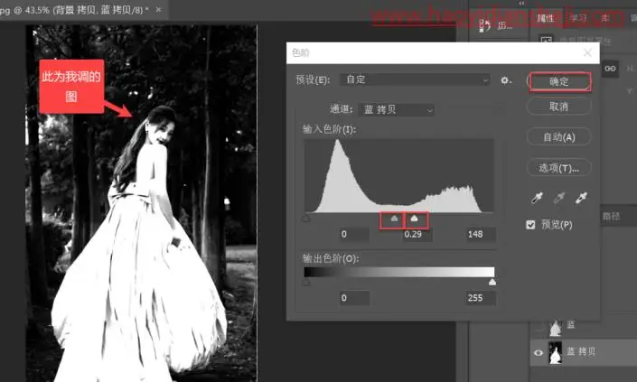 冰冻效果，制作美丽的冰雕效果白天鹅_www.haoyidiansheji.com