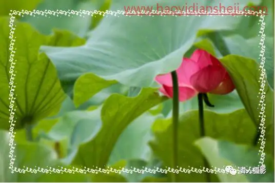 玻璃效果，制作雨后玻璃水珠效果_www.haoyidiansheji.com