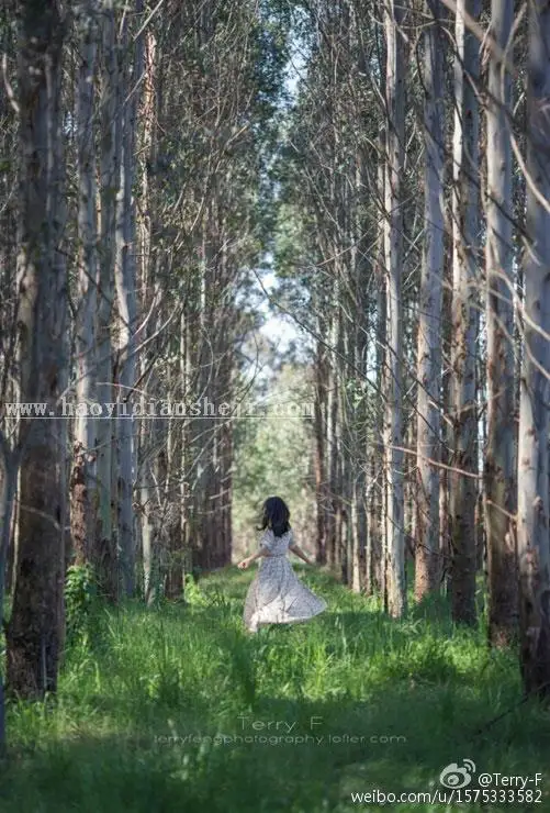 光线处理，给树林人像添加丁达尔光效_www.haoyidiansheji.com