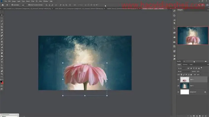 唯美合成，制作女孩坐在花朵上的浪漫场景_www.haoyidiansheji.com