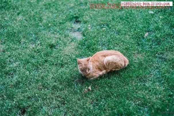 黑白效果，用专业的PS做专业的黑白效果照片_www.haoyidiansheji.com