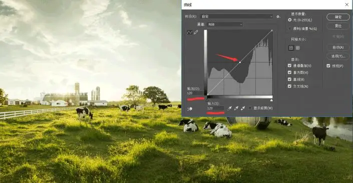 工具教程，曲线工具进阶教程_www.haoyidiansheji.com