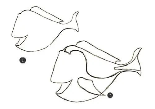 鼠绘卡通，鼠绘好莱坞动画Dory实例_www.haoyidiansheji.com