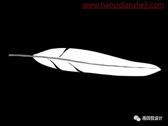 抠羽毛，PS绘制逼真的洁白羽毛_www.haoyidiansheji.com