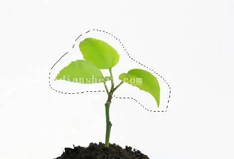 场景合成，通过PS合成一张苹果里面种苹果树的趣味照片_www.haoyidiansheji.com