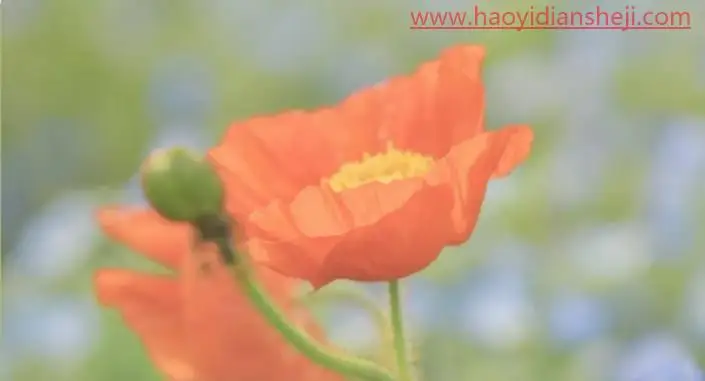 后期调色，通过PS打造莫奈温柔系色调的照片_www.haoyidiansheji.com