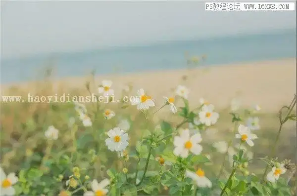 胶片色，用PS调出静物日系胶片效果_www.haoyidiansheji.com