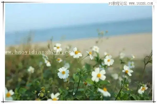 胶片色，用PS调出静物日系胶片效果_www.haoyidiansheji.com