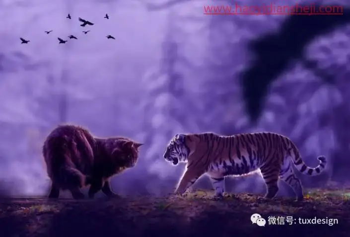 创意合成，通过PS合成一幅猫虎大战一触即发的场面_www.haoyidiansheji.com