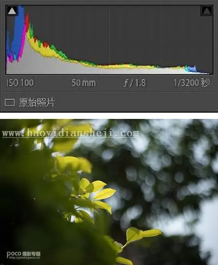 静物调色，明亮通透的小清新静物照前后期思路_www.haoyidiansheji.com