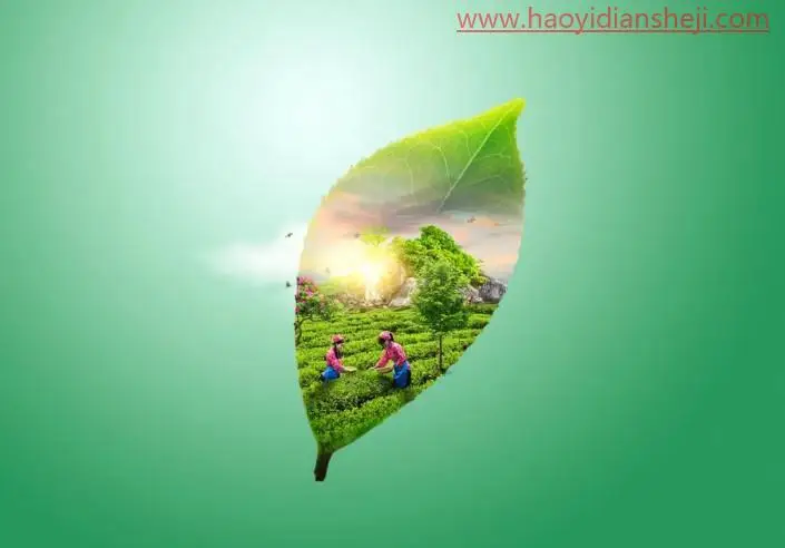 创意合成，合成绿叶中的唯美春季茶园_www.haoyidiansheji.com