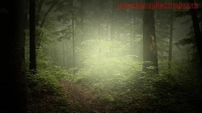 创意合成，在PS中合成一个在丛林书本上睡觉的男孩_www.haoyidiansheji.com