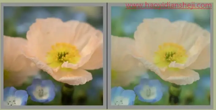 后期调色，通过PS打造莫奈温柔系色调的照片_www.haoyidiansheji.com