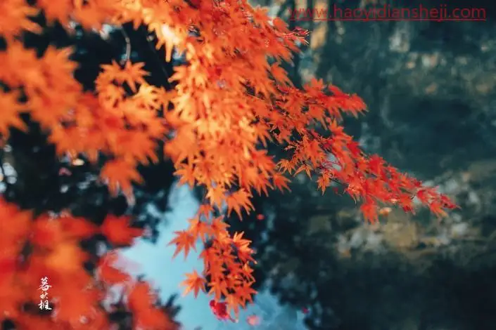 LR古风调色，通过LR调出唯美枫叶古风人像后期调色思路_www.haoyidiansheji.com