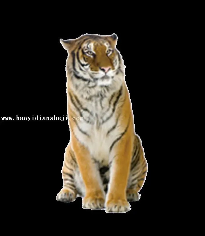 场景合成，合成大猫小老虎奇幻场景_www.haoyidiansheji.com