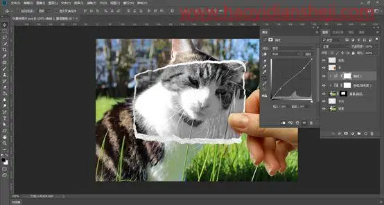 创意合成，合成草地里的猫咪边框趣味照片_www.haoyidiansheji.com