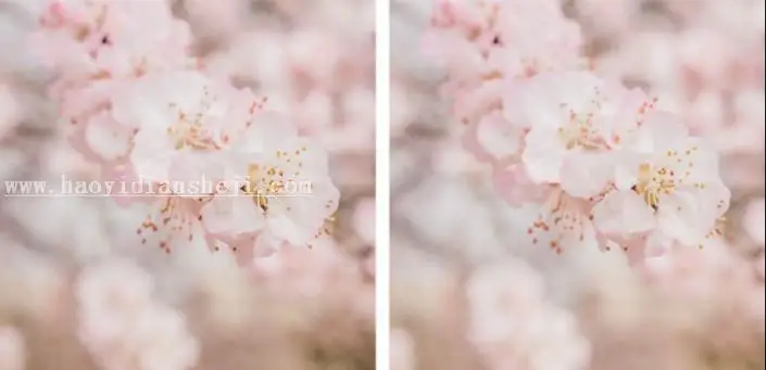 植物调色，铃兰花调色实例_www.haoyidiansheji.com