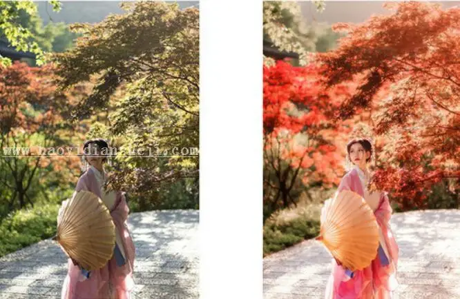 红色秋景，秋季外景人像修图过程_www.haoyidiansheji.com