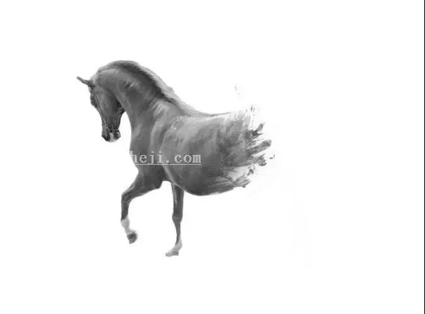 插画制作，在PS中建一个艺术马插画_www.haoyidiansheji.com