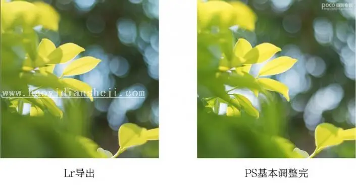 静物调色，明亮通透的小清新静物照前后期思路_www.haoyidiansheji.com