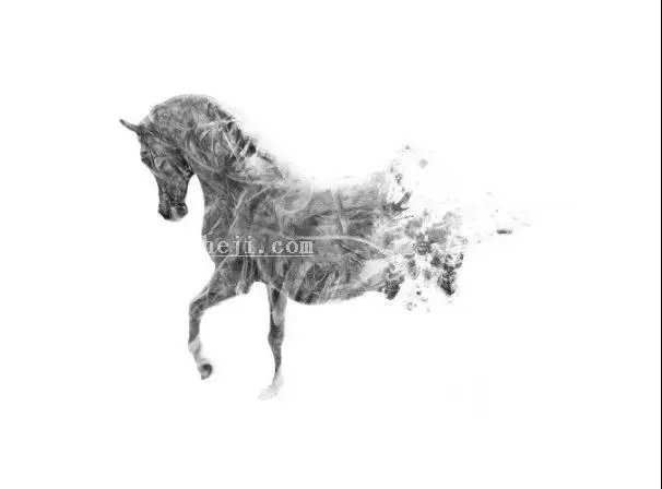 插画制作，在PS中建一个艺术马插画_www.haoyidiansheji.com