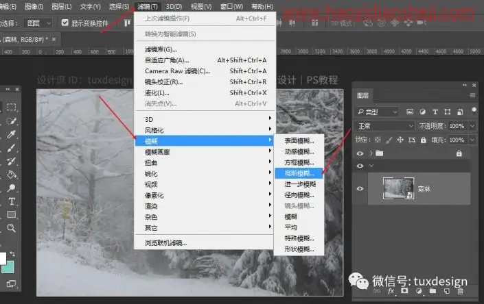 创意合成，通过PS合成一幅猫虎大战一触即发的场面_www.haoyidiansheji.com
