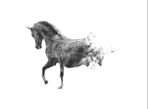 插画制作，在PS中建一个艺术马插画_www.haoyidiansheji.com