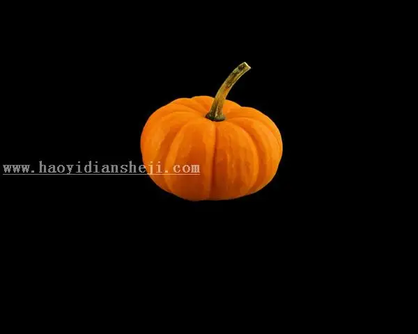 万圣节，制作万圣节南瓜灯教程_www.haoyidiansheji.com
