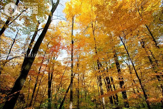 光照效果，给照片添加散景和光照效果_www.haoyidiansheji.com