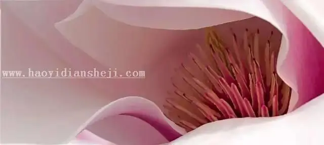 植物调色，调出亮丽色彩的花朵教程_www.haoyidiansheji.com