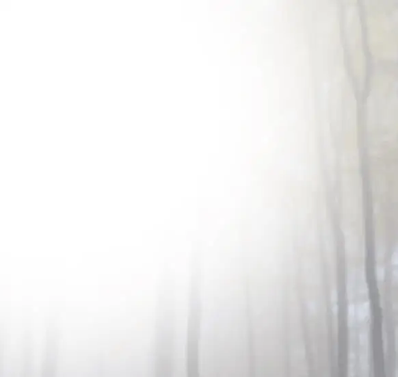 森林系，用PS给树林里拍摄的人像添加梦幻效果_www.haoyidiansheji.com