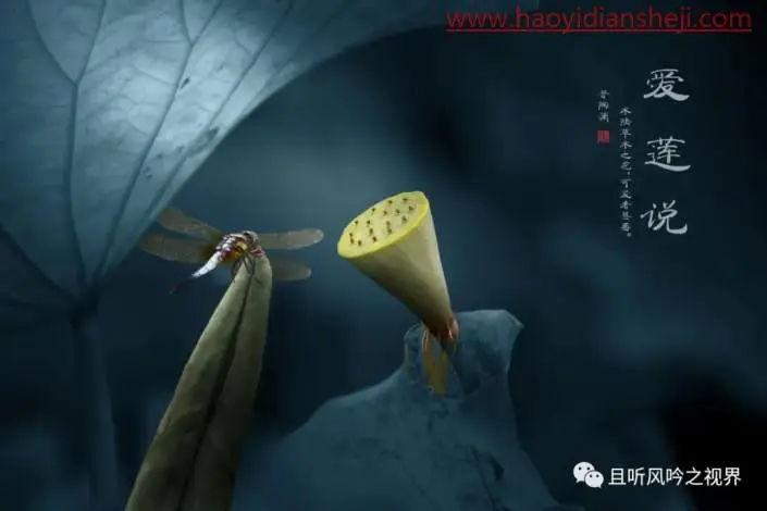 风景后期，调出清新优雅的莲蓬照片_www.haoyidiansheji.com