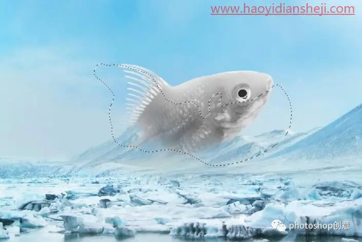 创意合成，合成冰冻特效的金鱼场景_www.haoyidiansheji.com