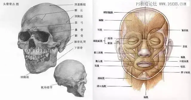 商业修图，通过实例学习商业大片的后期皮肤修饰_www.haoyidiansheji.com